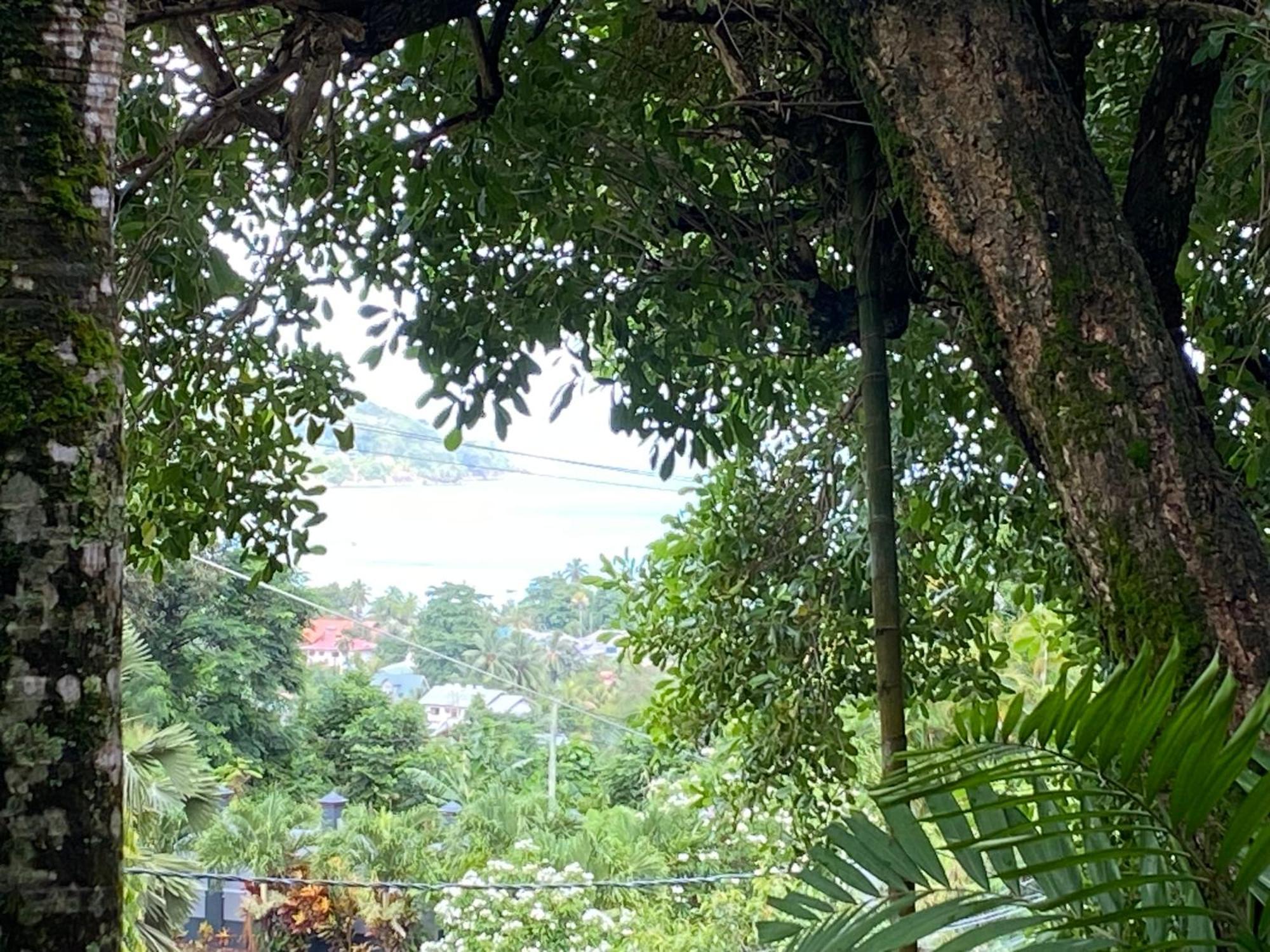 Stephna Residence Anse Boileau エクステリア 写真